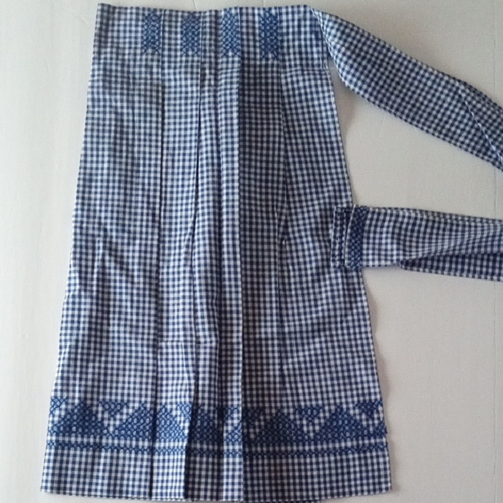 Blue and White Checkered Skirt with Embroidery